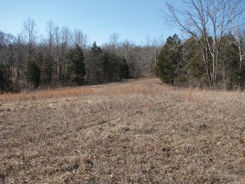 Property photo 11 - 97.5 Acres - Executive Home and Secluded Retreat